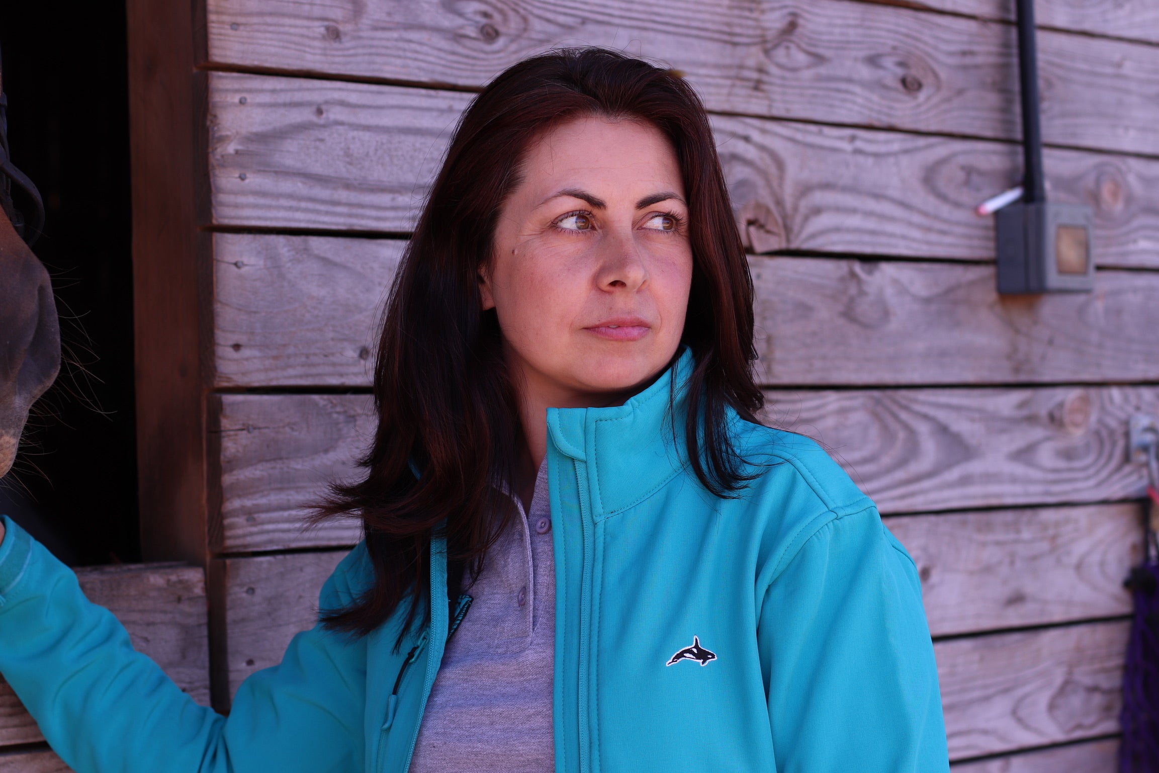 Softshell Jackets: Comfort and Protection for All Occasions