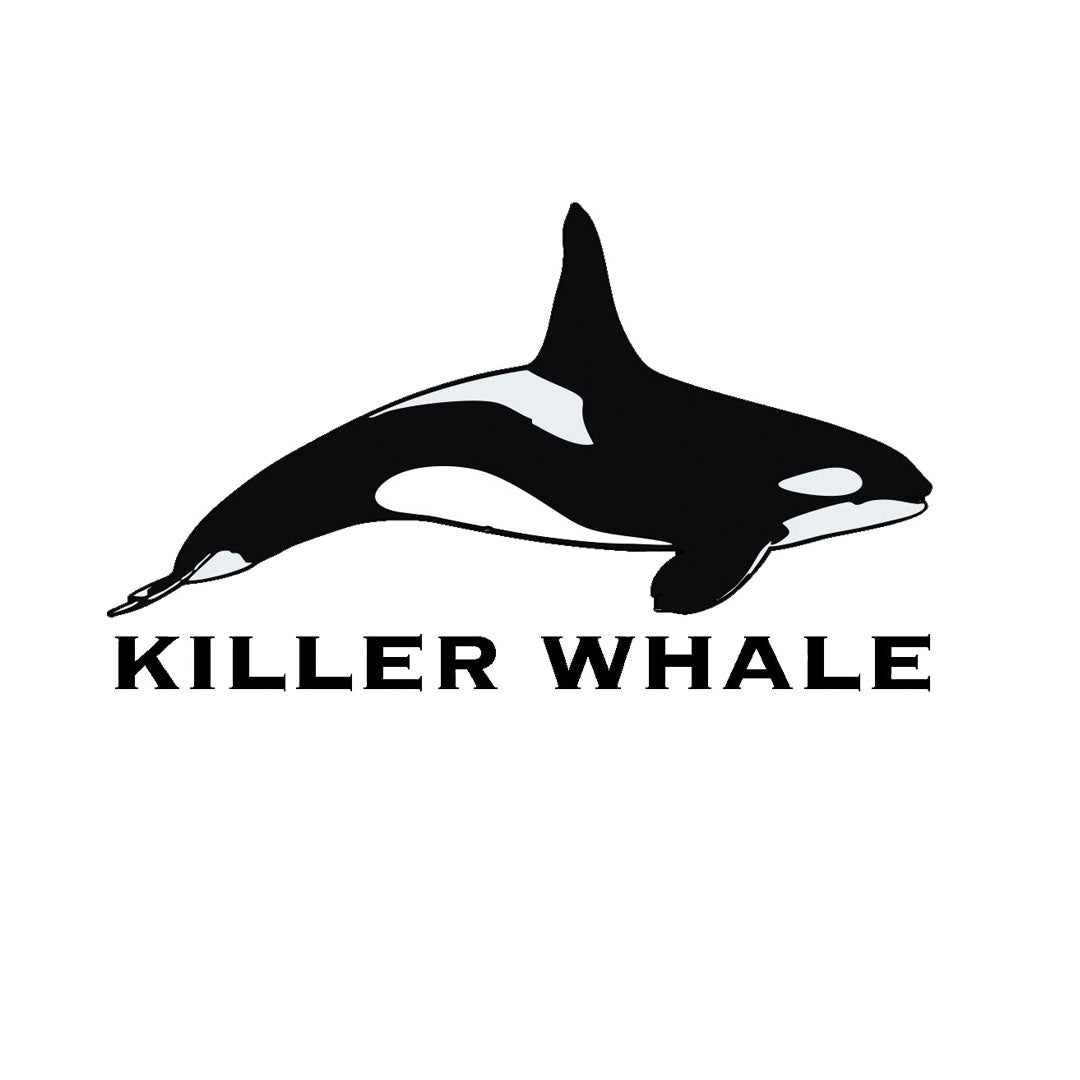 About Killer Whale LTD and why we choose the orca killer whale!